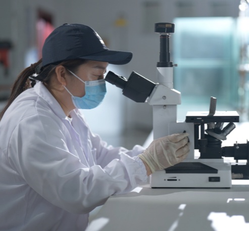 拓扑优化与精密铸造工艺在A356铝合金转向节轻量化设计中的协同应用